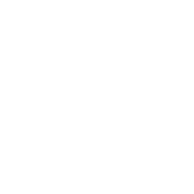 Elevating Origin Brain Based Coaching